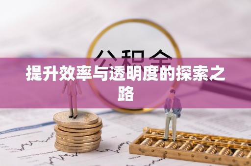 南宁提升效率与透明度的探索之路