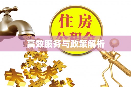 南宁高效服务与政策解析